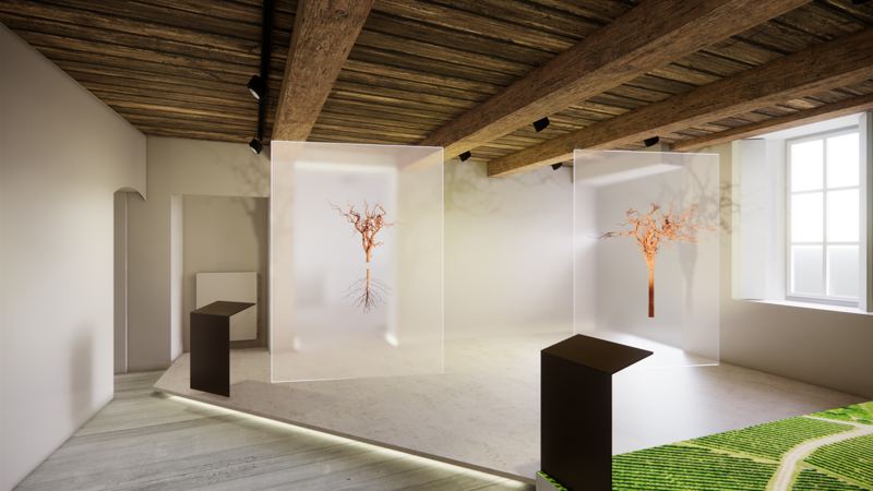 Render de la salle consacrée à la vigne