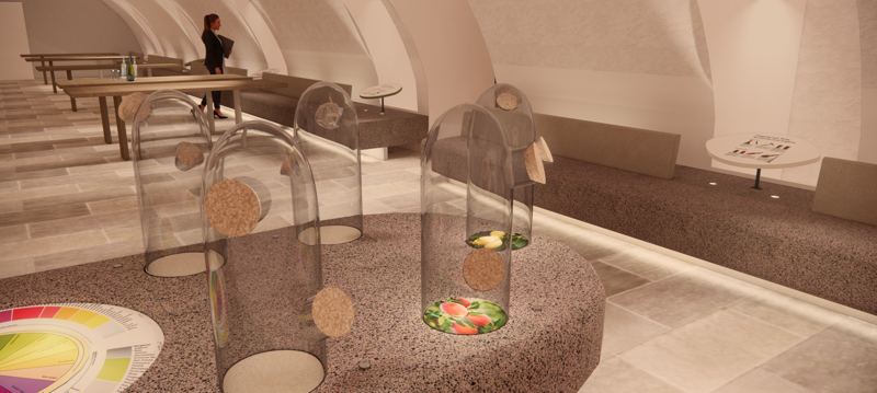 Render de la salle Wäin